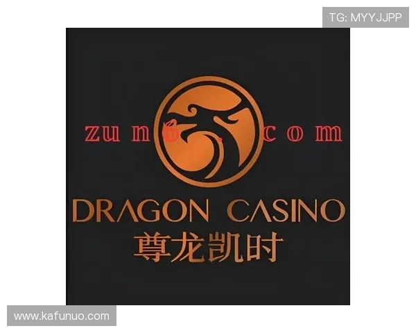 未来尊龙凯时旗舰厅登录线路的发展方向与创新建议